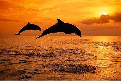 Steam喜加一！《天国：拯救》花花公子DLC免费领取